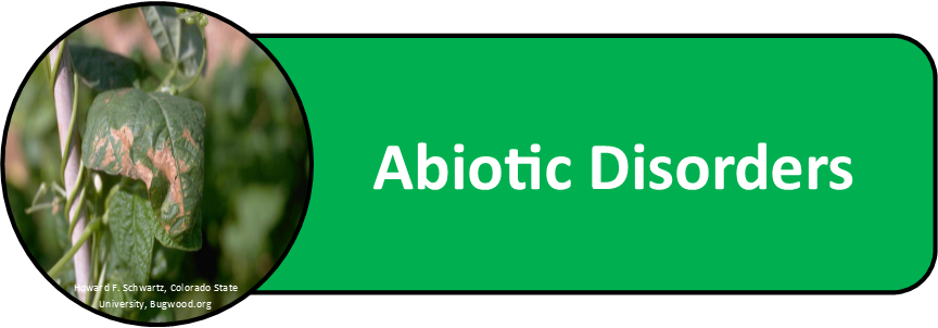 Legume Vegetable Abiotic Disorders